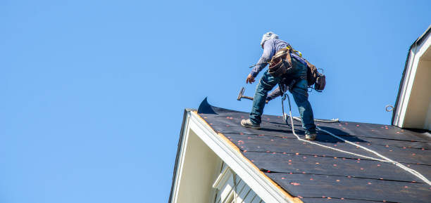Best Gutter Installation and Roofing  in Rowlett, TX